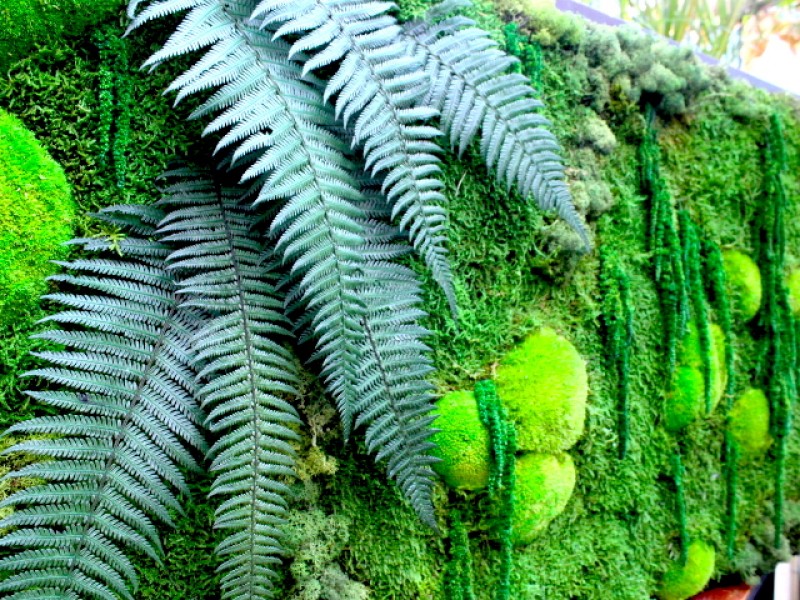 JungleLab à Ixelles - Jardinerie – Pépinière - Magasin de décoration | Boncado - photo 5