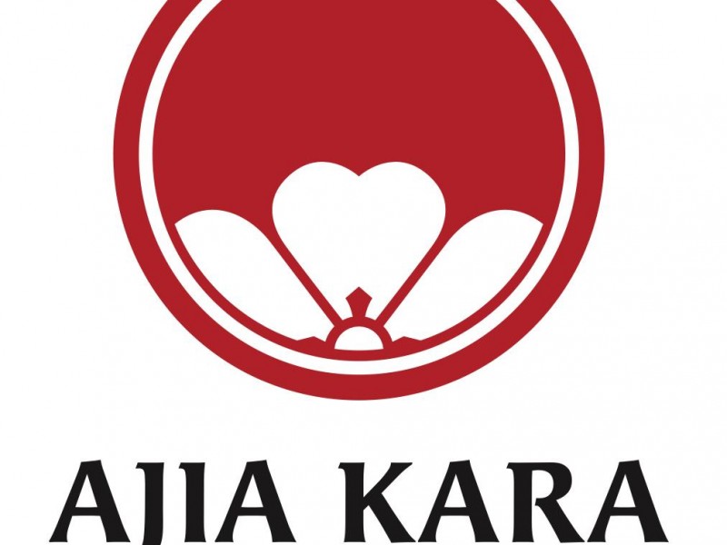 Boutique Japan / Ajia Kara à BRUXELLES - Boetiek - Cadeau- en souvenirwinkel | Boncado - photo 2