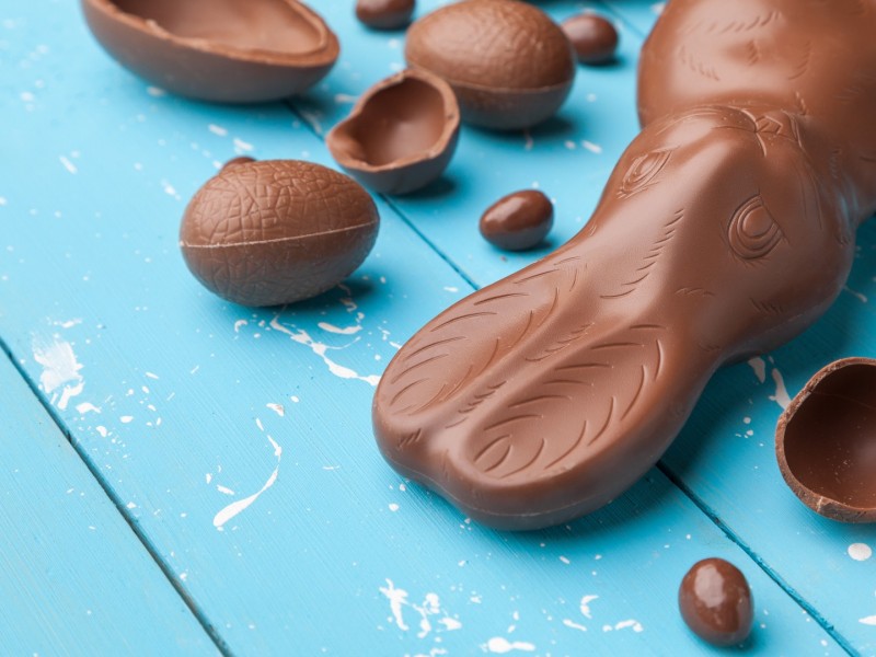 THE BELGIAN CHOCOLATE MAKERS à Bruxelles - Schokoladengeschäft | Boncado - photo 32