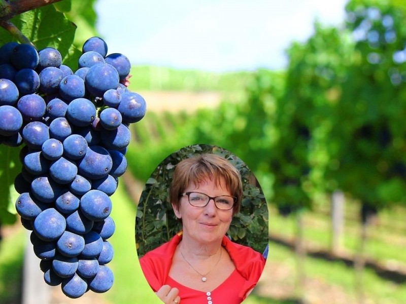 Julienne DOBBELSTEIN à B Ayeneux - Wijn en sterke dranken | Boncado - photo 2