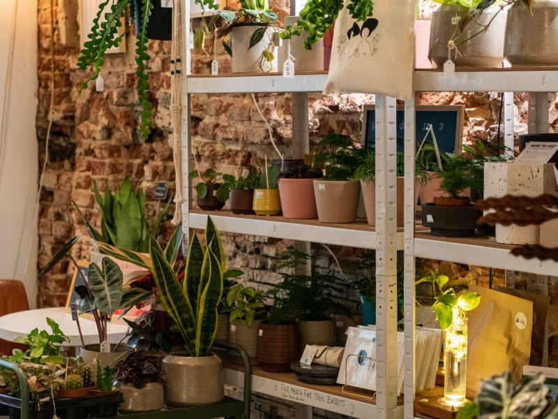 GRUUN | plants & coffee à Brussel - Bloemen en decoratie - Koffie- en theewinkel | Boncado - photo 4