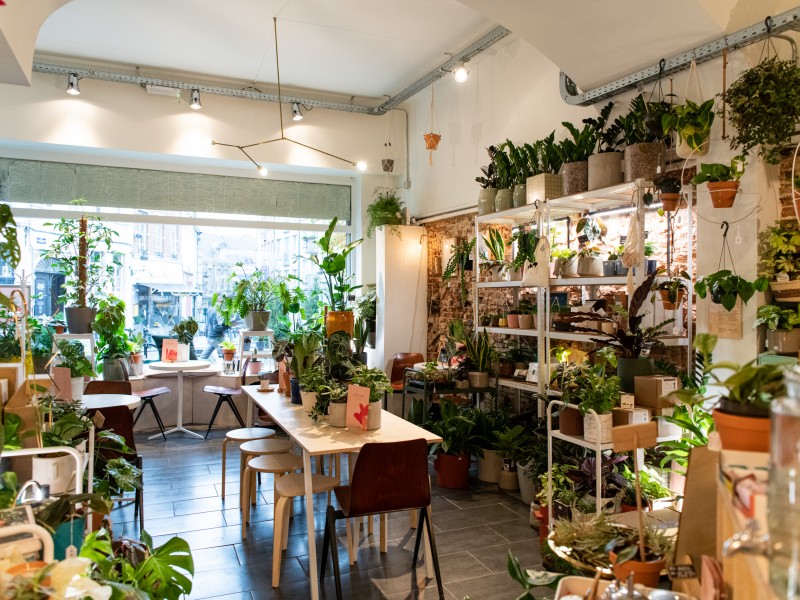 GRUUN | plants & coffee à Brussel - Blumen & Gärtner - Kaffee- und Teeladen | Boncado - photo 2