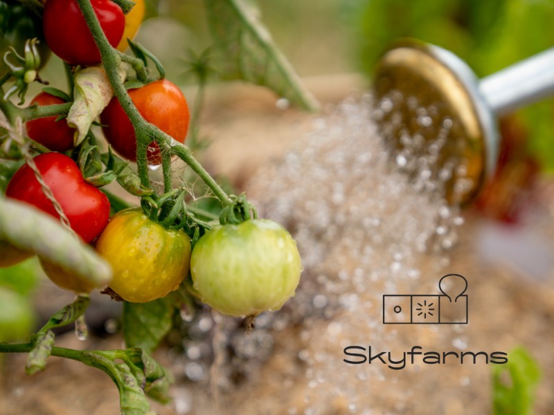 Skyfarms à Bruxelles - Gartencenter – Baumschule | Boncado - photo 2