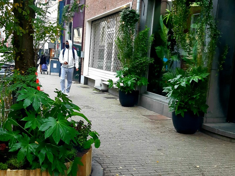 BRUT à Bruxelles - Gartencenter – Baumschule - Geschäft für Retro-Artikel | Boncado - photo 2