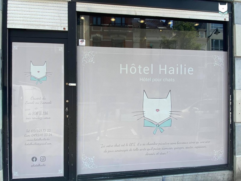 Hôtel Hailie à Bruxelles - Zoofachgeschäft - Geschenk- und Souvenirgeschäft | Boncado - photo 2