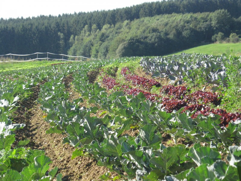 Bioladen Terrenhof à St.Vith - Bio-Lebensmittelgeschäft | Boncado - photo 3