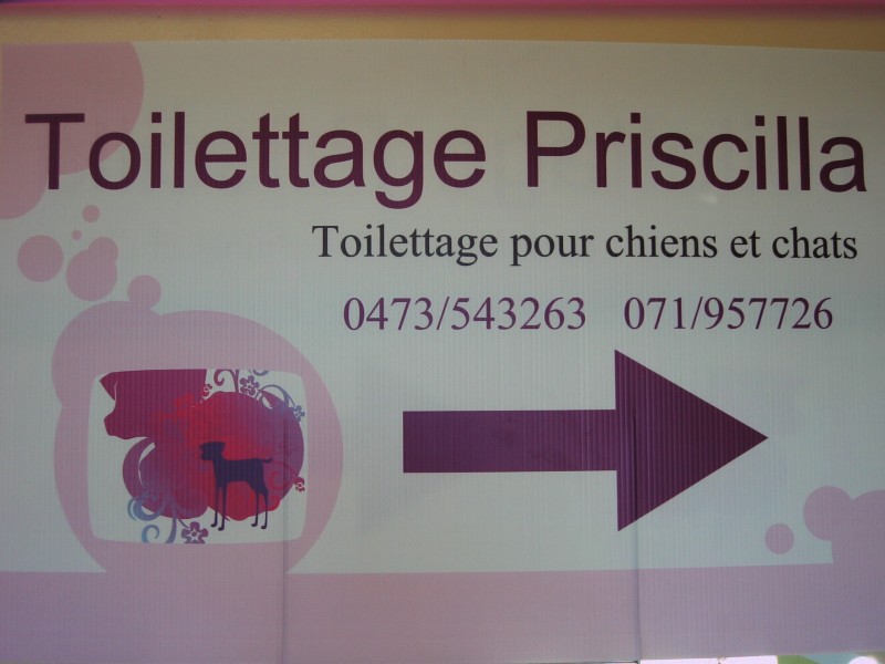 Toilettage Priscilla à FORCHIES-LA-MARCHE - Hondenkapper | Boncado - photo 3