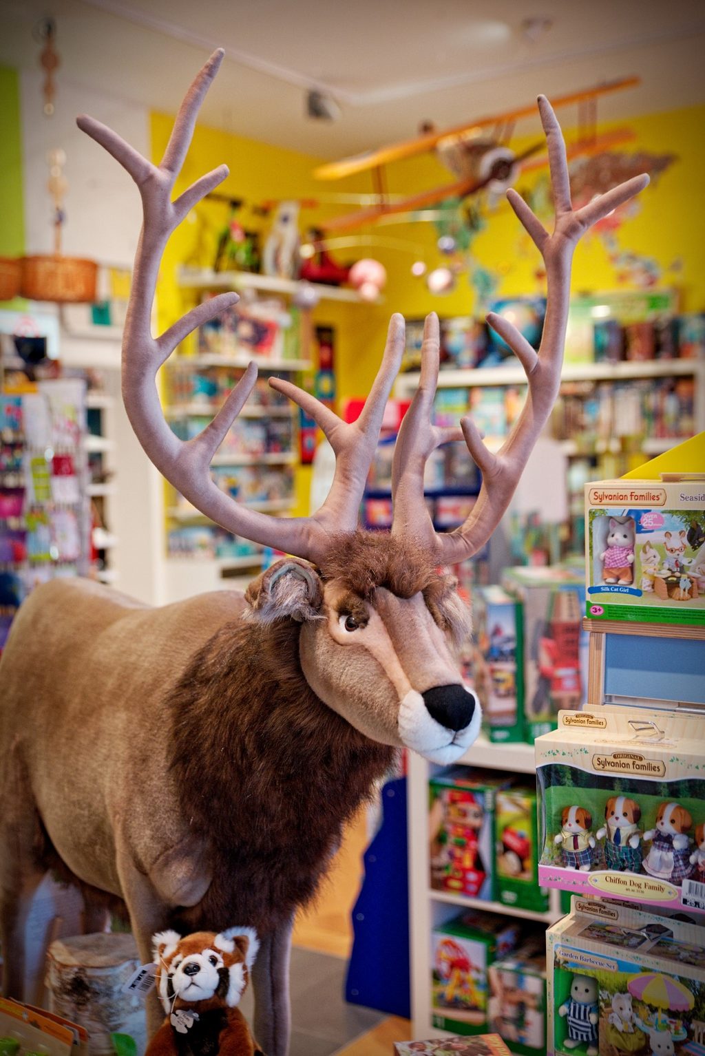 Le Temps de Rêver à Libramont - Magasin de jouets - Magasin de jouets | Boncado - photo 5