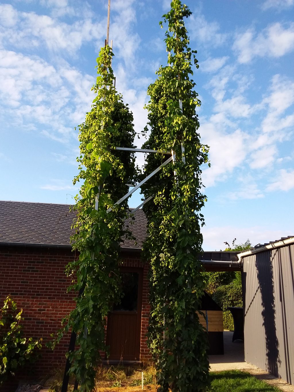 La Touteur Bière artisanale à Libramont-Chevigny - Ernährung und Getränke | Boncado - photo 7