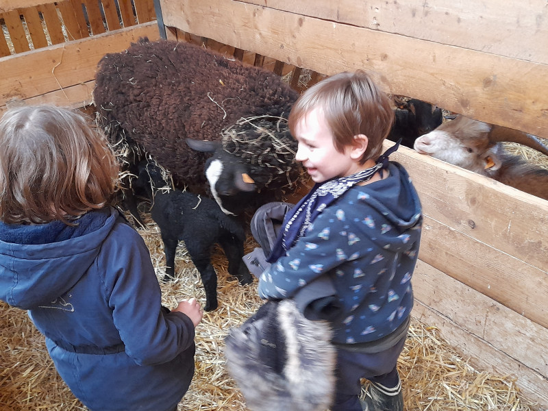 Chez Armande et compagnie à Libramont - Museum - Vergnügungsservice für Kinder | Boncado - photo 6