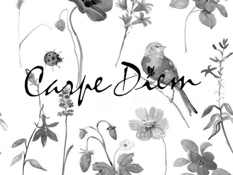 carpe diem à tournai - Magasin de vêtements pour femmes - Accessoires & fantaisies | Boncado - photo 2