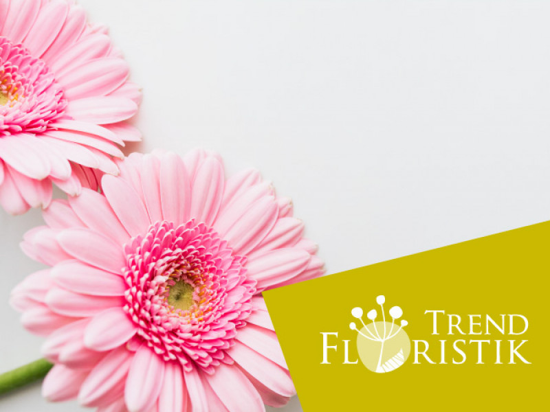 Trend Floristik à Elsenborn - Fleurs et Déco - Fleuriste | Boncado - photo 4