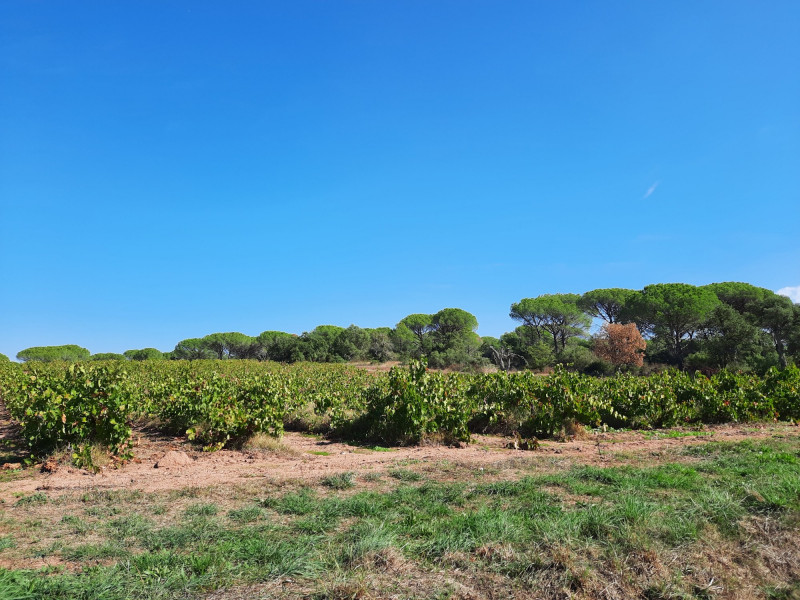 Les potes en cave à Hamoir - Magasin spécialisé dans la vente d’alcools - Dépôt-vente | Boncado - photo 11