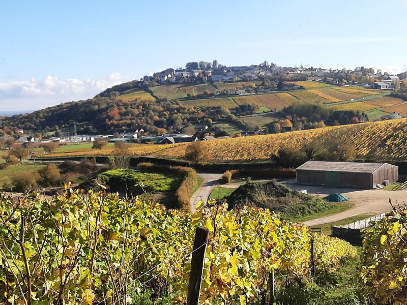 Les potes en cave à Hamoir - Auf den Verkauf von Alkohol spezialisiertes Geschäft - Verkauf ab Lager | Boncado - photo 15