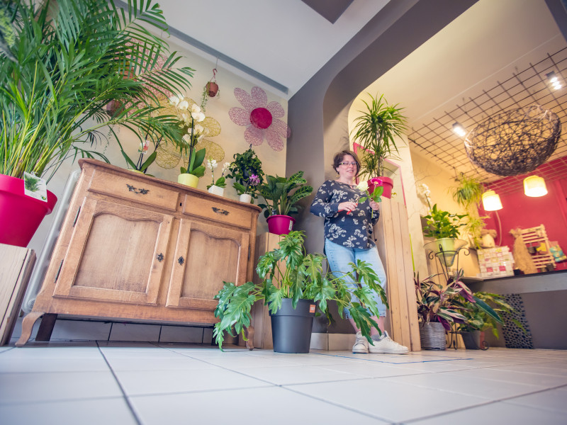 L'herbe folle à Hamoir - Fleuriste - Fleurs et Déco | Boncado - photo 3