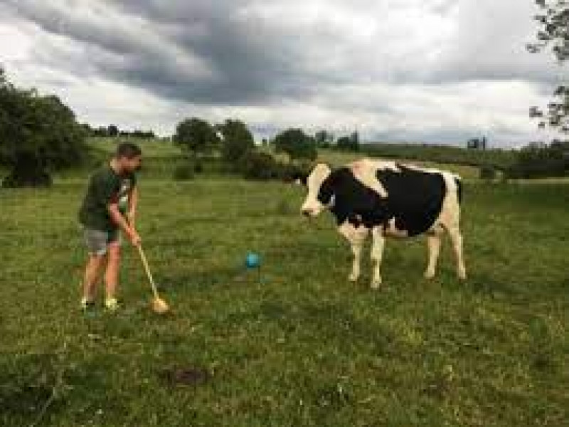 Ferme Koeune à Houffalize - Club sportif - Aire camping-cars | Boncado - photo 7