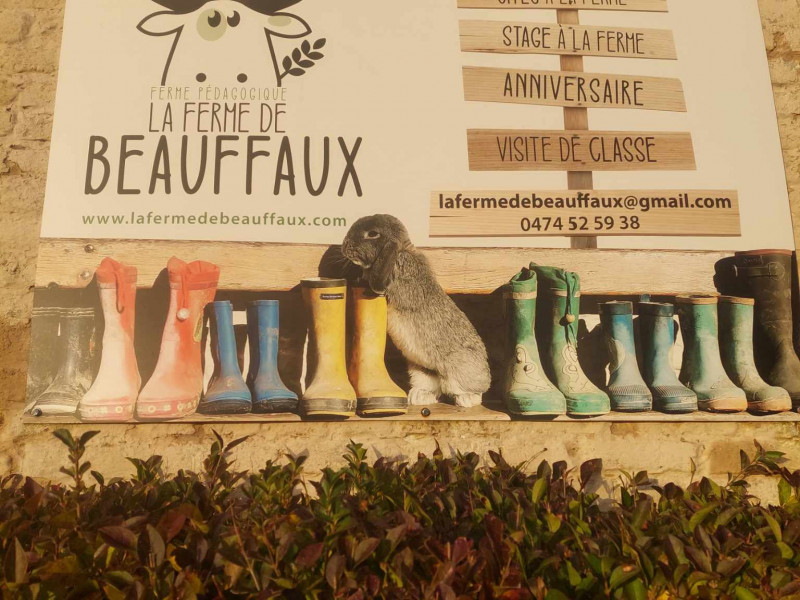 Ferme de Beauffaux à Saint-Denis-Bovesse | Boncado - photo 11
