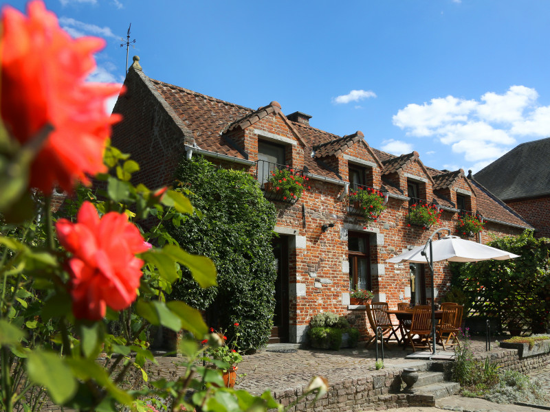 Gîte rural Les Coquelicots à Audregnies | Boncado - photo 4