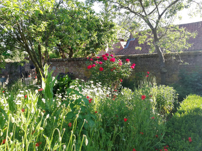 Gîte rural Les Coquelicots à Audregnies | Boncado - photo 13
