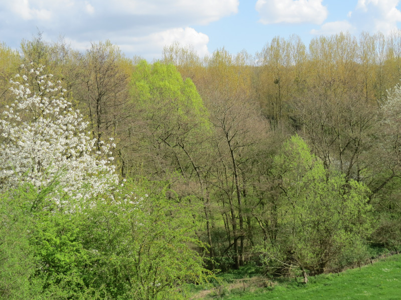 Gîte rural Les Coquelicots à Audregnies | Boncado - photo 16