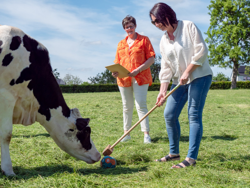 Magasin à la ferme de Gerard Sart à Saint-André - Boerderijwinkel - Roomijswinkel | Boncado - photo 4