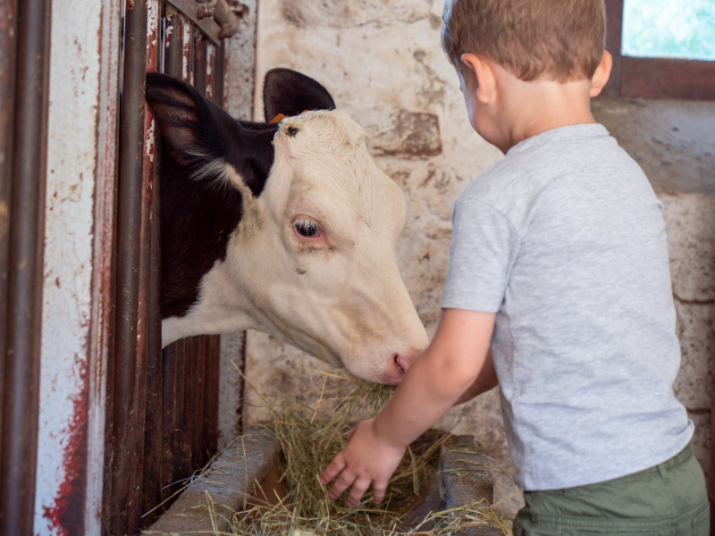 Magasin et bar à glace à la ferme de Gerard Sart à Saint-André | Boncado - photo 11