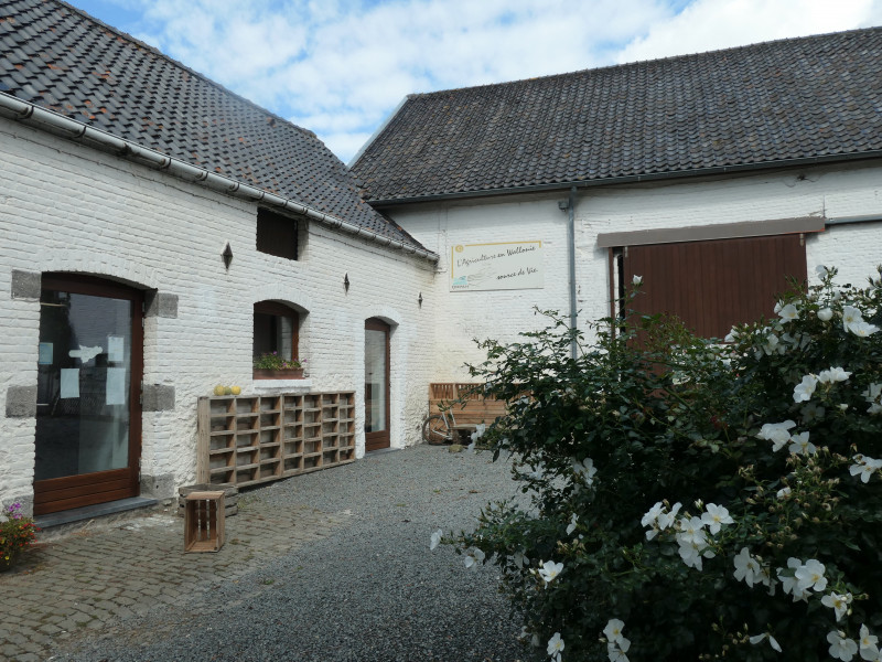 la blanche ferme à BOIS-DE-LESSINES - Herbergen & Gästezimmer - Erzeugermarkt | Boncado - photo 3