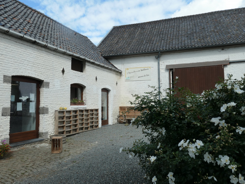 la blanche ferme à BOIS-DE-LESSINES - Gästezimmer – Bed and Breakfast - Erzeugermarkt | Boncado - photo 3