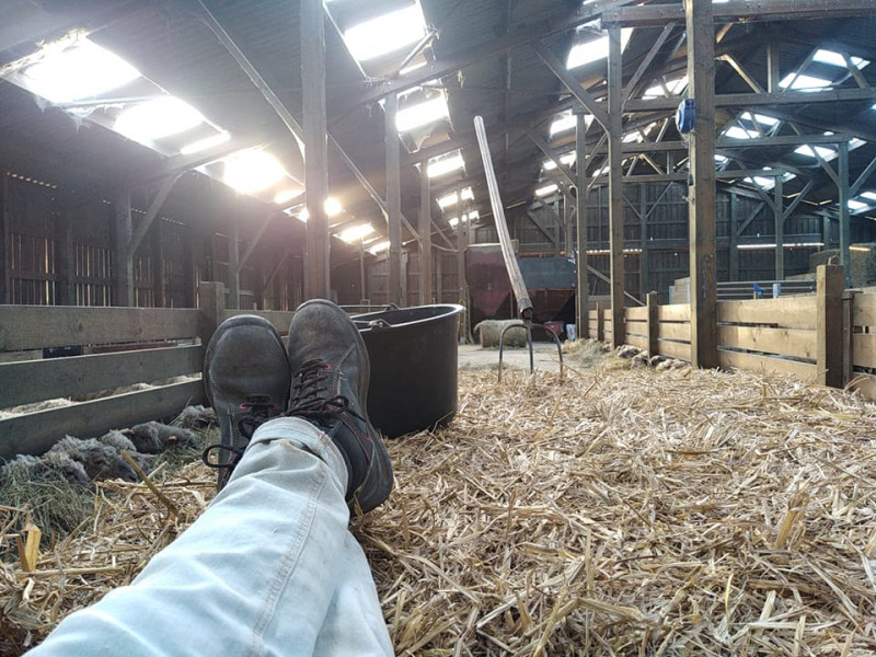 Ferme Schalenbourg Filles à Haneffe - Boucherie – charcuterie - Magasin à la ferme | Boncado - photo 7