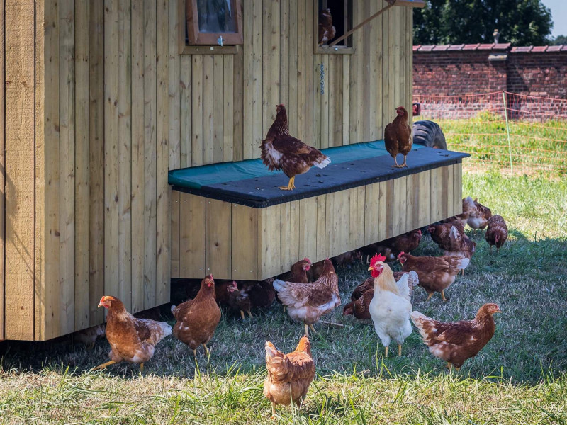 Boucherie de la ferme des Noyers à Corroy-le-Grand - Metzgerei – Fleischerei - Hofladen | Boncado - photo 3