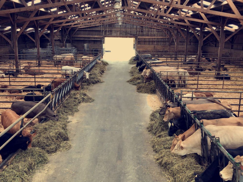 Boucherie de la ferme des Noyers à Corroy-le-Grand - Metzgerei – Fleischerei - Hofladen | Boncado - photo 4