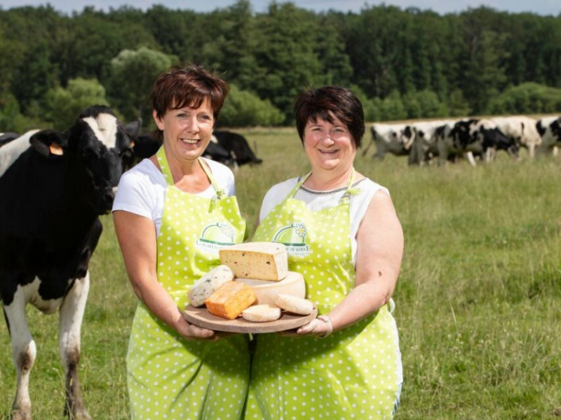 Le Plateau du Gerny à Aye | Boncado - photo 7