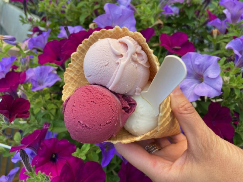 Goé Glaces à Goé - Producteurs et artisans locaux | Boncado - photo 6