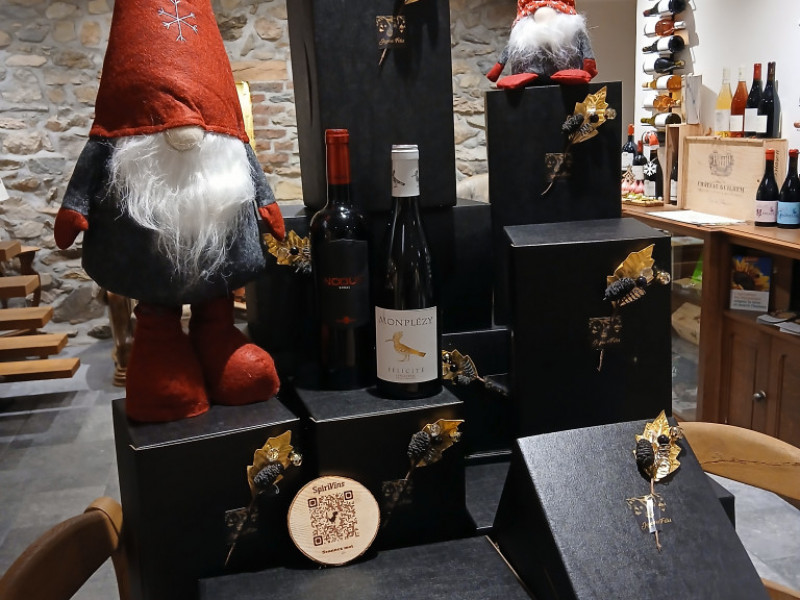 SPIRIVINS by Thomas Masson à Bellevaux - Vins et spiritueux - Magasin de produits Bio et naturels | Boncado - photo 15