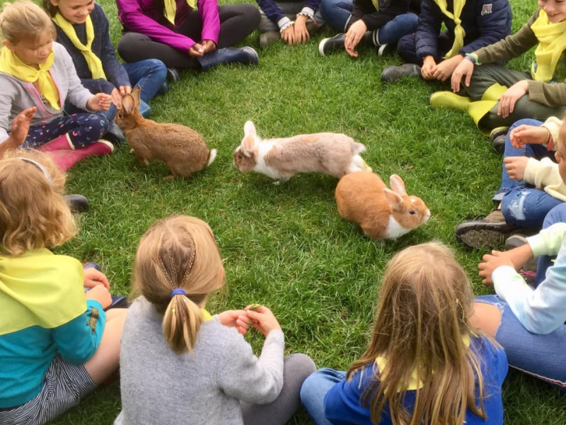 FERME PEDAGOGIQUE DE LA VALLEE à Vieux-Genappe - Museum - Vergnügungspark | Boncado - photo 14