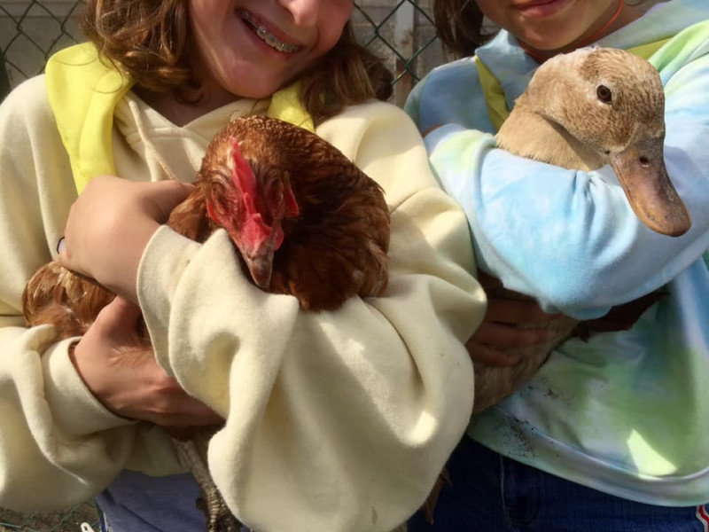 FERME PEDAGOGIQUE DE LA VALLEE à Vieux-Genappe - Musée - Parc d'attraction | Boncado - photo 7