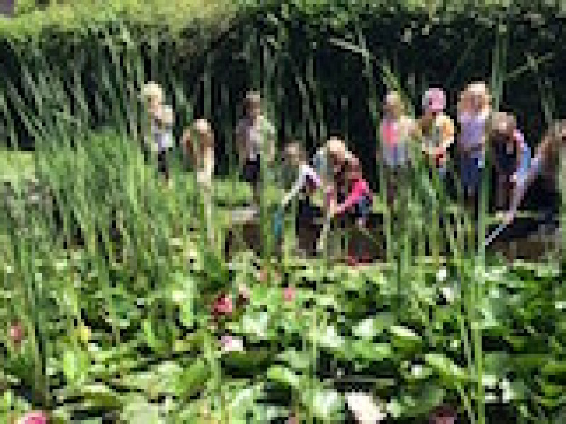 FERME PEDAGOGIQUE DE LA VALLEE à Vieux-Genappe - Museum - Vergnügungspark | Boncado - photo 13