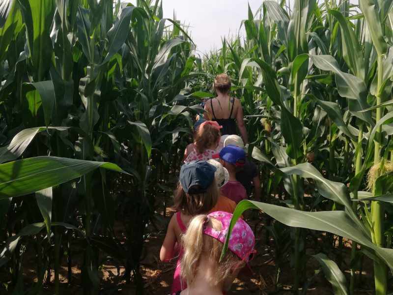 FERME PEDAGOGIQUE DE LA VALLEE à Vieux-Genappe - Museum - Vergnügungspark | Boncado - photo 11