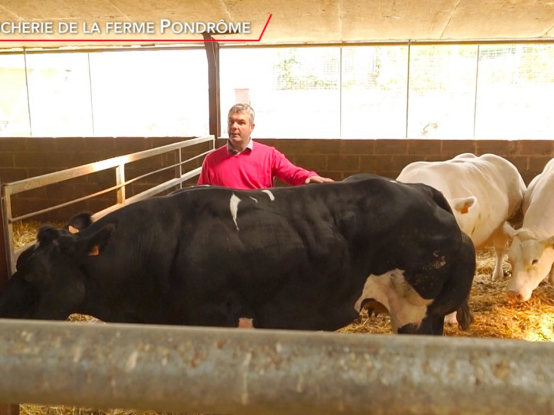 Boucherie de la ferme à Pondrôme - Slagerij - charcuterie | Boncado - photo 7