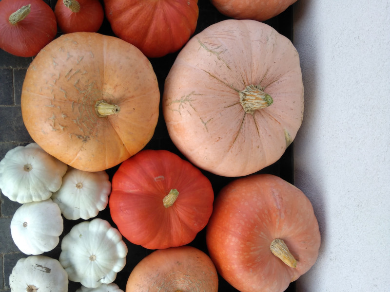 Les Jardins de Steinbach à Waimes - Magasin de fruits et légumes - Magasin de produits Bio et naturels | Boncado - photo 2