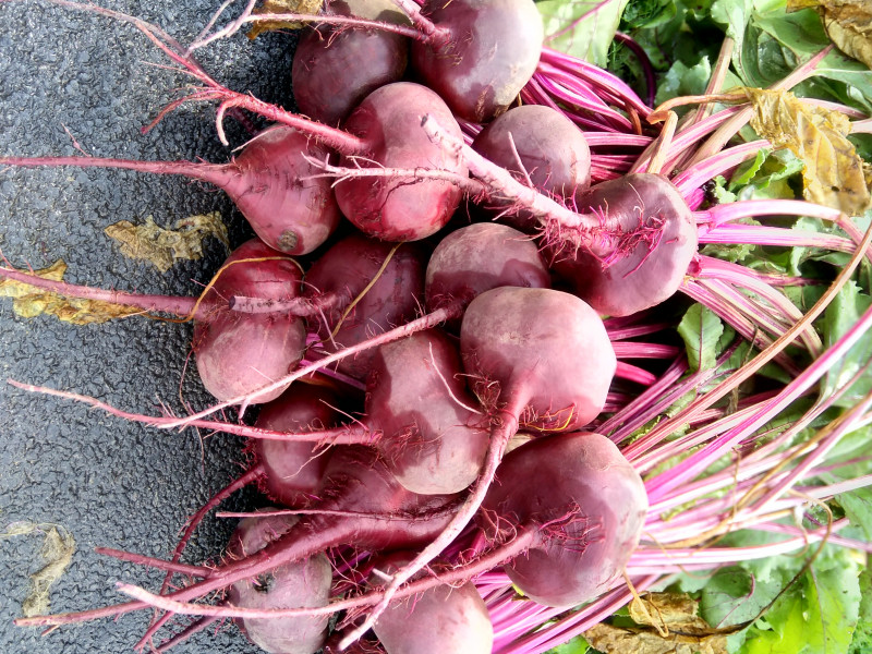 Les Jardins de Steinbach à Waimes - Magasin de fruits et légumes - Magasin de produits Bio et naturels | Boncado - photo 3