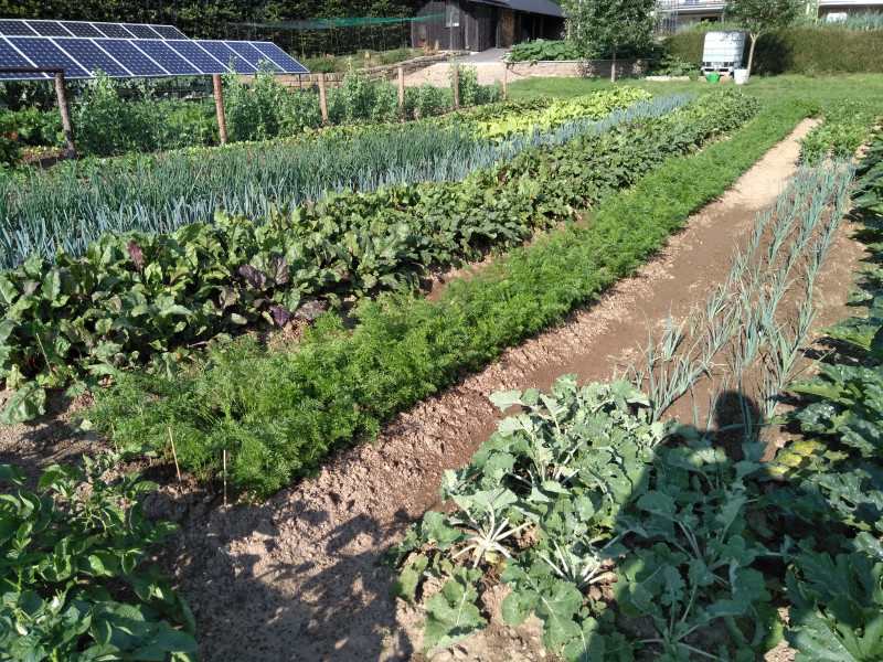 Les Jardins de Steinbach à Waimes - Groente- en fruitwinkel - Winkel voor biologische en natuurlijke producten | Boncado - photo 5