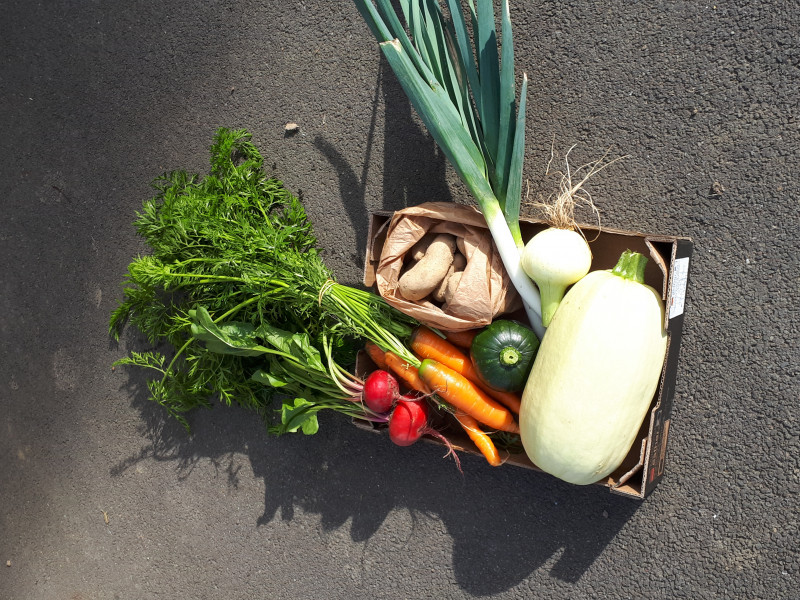 Les Jardins de Steinbach à Waimes - Groente- en fruitwinkel - Winkel voor biologische en natuurlijke producten | Boncado - photo 6