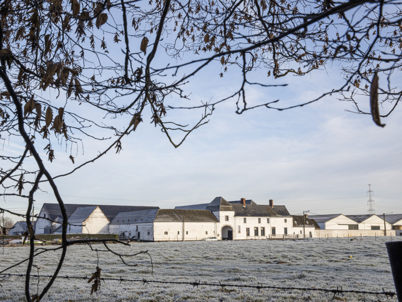 Ferme Dewaele - Thiméon à Thiméon - Hofladen - Erzeugermarkt | Boncado - photo 2