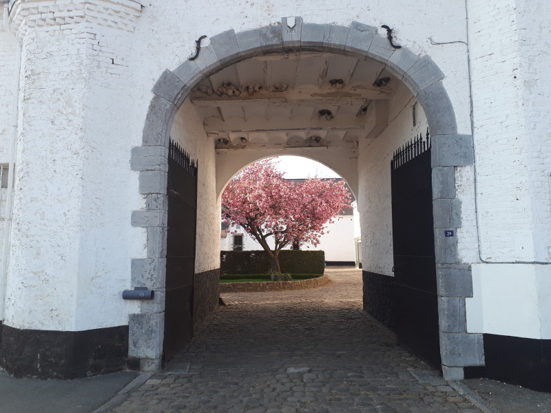 Ferme Dewaele - Thiméon à Thiméon - Hofladen - Erzeugermarkt | Boncado - photo 5