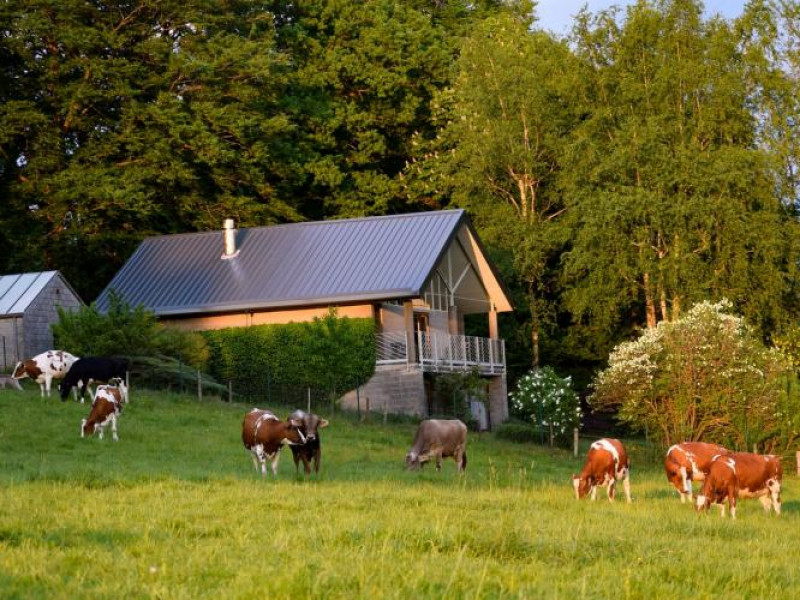 Le jardin de Ména à Ligneuville - Malmedy - Chambre d’hôtes – Bed and breakfast - Hôtel et hébergement | Boncado - photo 2