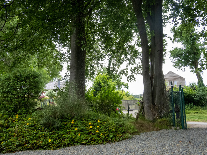 Le jardin de Ména à Ligneuville - Malmedy - Gastenkamer - Bed and breakfast - Hotel en accommodatie | Boncado - photo 19