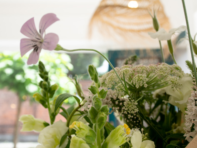 Petit Mousse à Bruxelles - Fleuriste - Fleurs et Déco | Boncado - photo 13