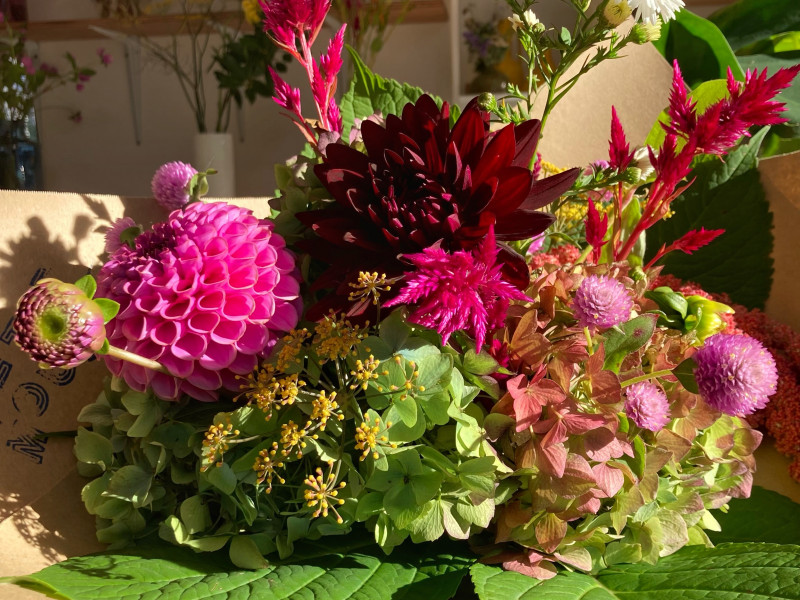 Petit Mousse à Bruxelles - Fleuriste - Fleurs et Déco | Boncado - photo 8