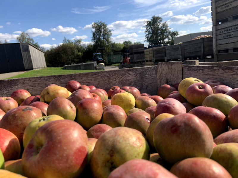 Siroperie Delvaux à Horion-Hozémont - Lokaler Erzeuger - Feinkostgeschäft | Boncado - photo 3